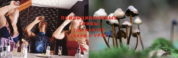 амф Белокуриха