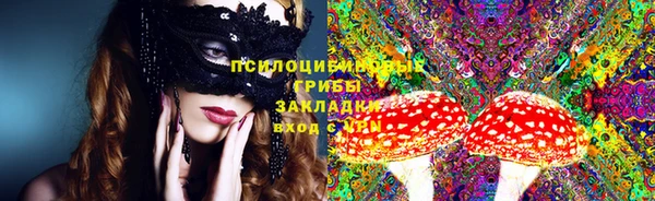 PSILOCYBIN Беломорск