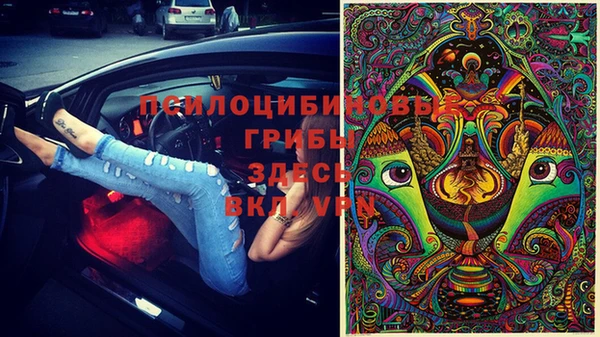 амф Белокуриха