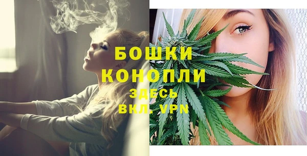 PSILOCYBIN Беломорск
