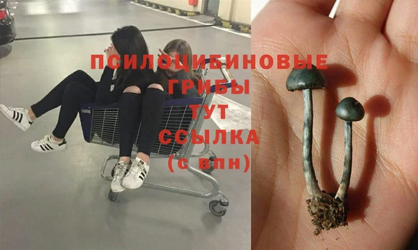 PSILOCYBIN Беломорск